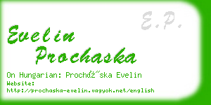 evelin prochaska business card